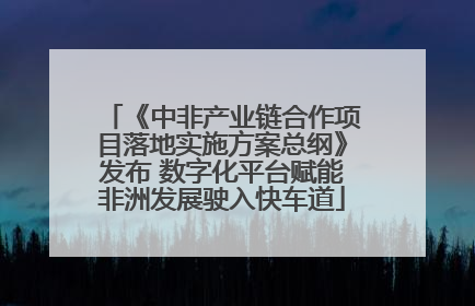 《中非产业链合作项目落地实施方案总纲》发布 数字化平台赋能非洲发展驶入快车道