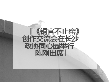 《铜官不止窑》创作交流会在长沙政协同心园举行 陈刚出席