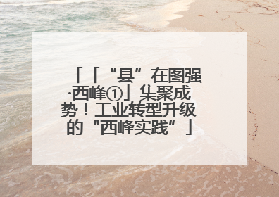 「“县”在图强·西峰①」集聚成势！工业转型升级的“西峰实践”