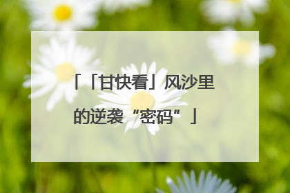 「甘快看」风沙里的逆袭“密码”