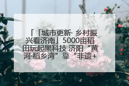 「城市更新· 乡村振兴看济南」5000亩稻田玩起黑科技 济阳“黄河·稻乡湾”靠“非遗+露营”火出圈