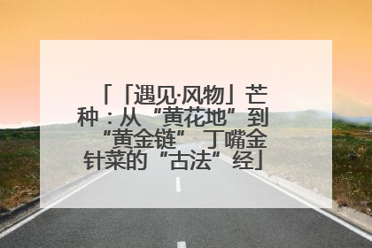 「遇见·风物」芒种：从“黄花地”到“黄金链” 丁嘴金针菜的“古法”经