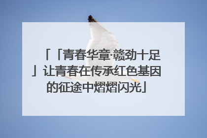 「青春华章·赣劲十足」让青春在传承红色基因的征途中熠熠闪光