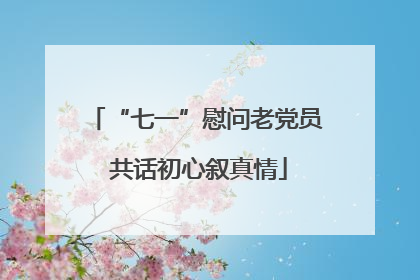 “七一”慰问老党员 共话初心叙真情