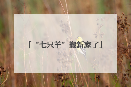 “七只羊”搬新家了