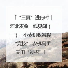 “三夏”进行时｜河北麦收一线见闻（一）：小麦机收减损“竞技” 农机高手麦田“过招”