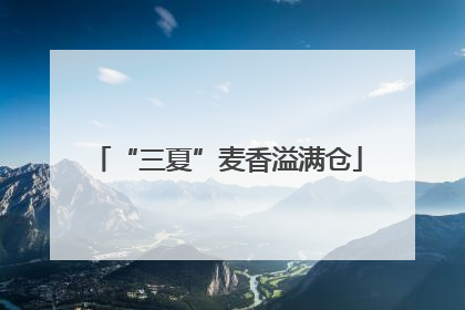 “三夏”麦香溢满仓