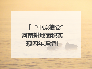 “中原粮仓”河南耕地面积实现四年连增