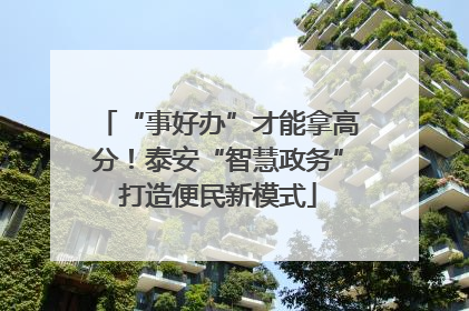 “事好办”才能拿高分！泰安“智慧政务”打造便民新模式