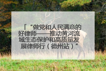 “做党和人民满意的好律师——推动黄河流域生态保护和高质量发展律师行（德州站）”活动成功举办
