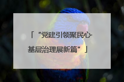 “党建引领聚民心·基层治理展新篇”