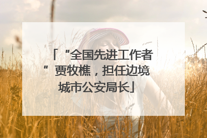 “全国先进工作者”贾牧樵，担任边境城市公安局长
