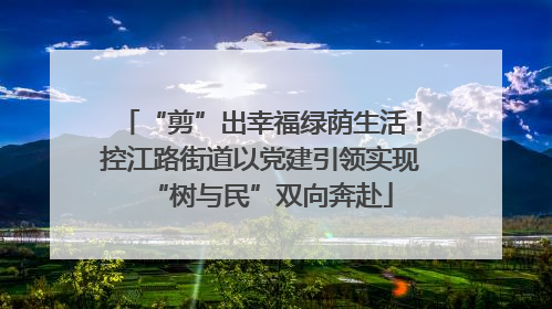 “剪”出幸福绿荫生活！控江路街道以党建引领实现“树与民”双向奔赴