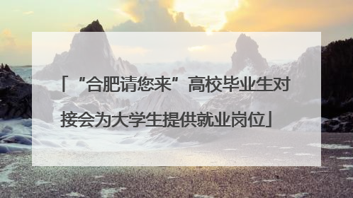 “合肥请您来”高校毕业生对接会为大学生提供就业岗位