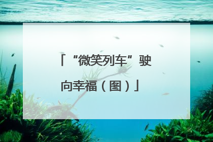 “微笑列车”驶向幸福（图）