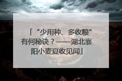 “少用种、多收粮”有何秘诀？——湖北襄阳小麦夏收见闻