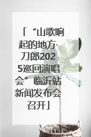 “山歌响起的地方·刀郎2025巡回演唱会”临沂站新闻发布会召开