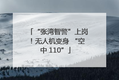 “张湾智警”上岗！无人机变身 “空中 110”