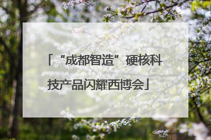 “成都智造”硬核科技产品闪耀西博会