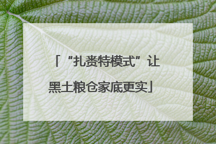 “扎赉特模式”让黑土粮仓家底更实