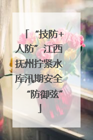 “技防+人防”江西抚州拧紧水库汛期安全“防御弦”
