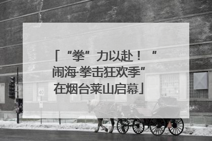 “拳”力以赴！“闹海·拳击狂欢季”在烟台莱山启幕