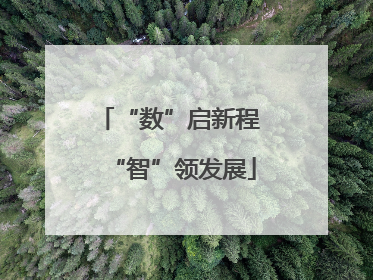 “数”启新程 “智”领发展
