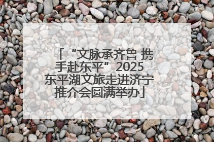 “文脉承齐鲁 携手赴东平”2025东平湖文旅走进济宁推介会圆满举办