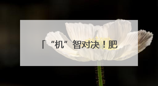 “机”智对决！肥西县第四届人工智能竞赛火热开赛