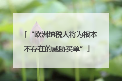 “欧洲纳税人将为根本不存在的威胁买单”