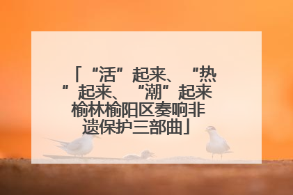 “活”起来、“热”起来、“潮”起来 榆林榆阳区奏响非遗保护三部曲