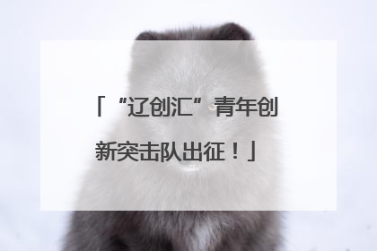 “辽创汇”青年创新突击队出征！