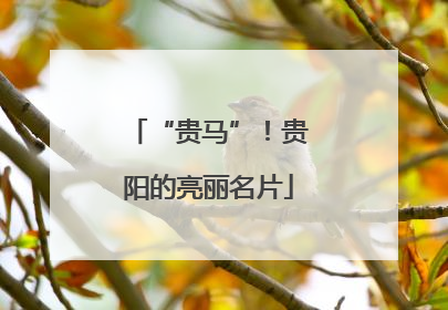 “贵马”！贵阳的亮丽名片