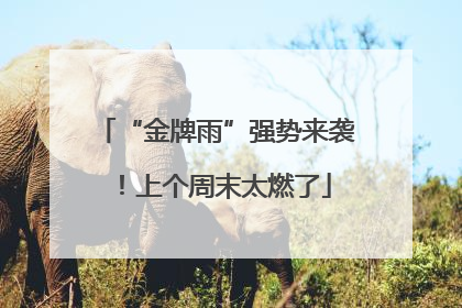 “金牌雨”强势来袭！上个周末太燃了