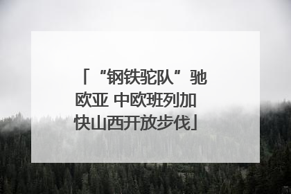 “钢铁驼队”驰欧亚 中欧班列加快山西开放步伐