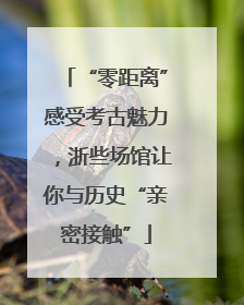 “零距离”感受考古魅力，浙些场馆让你与历史“亲密接触”