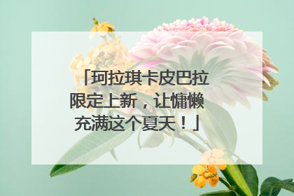 珂拉琪卡皮巴拉限定上新，让慵懒充满这个夏天！