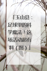 玉山县:足球里的科学魔法!这场活动超有料(图)