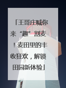 王哥庄喊你来“趣”割麦！麦田里的丰收狂欢，解锁田园新体验