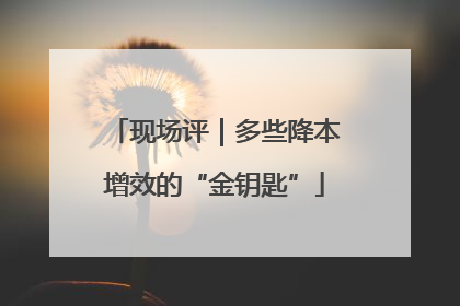 现场评｜多些降本增效的“金钥匙”