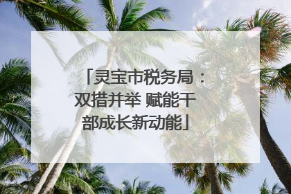 灵宝市税务局：双措并举 赋能干部成长新动能