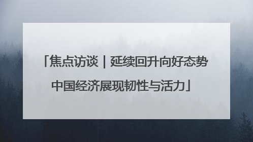 焦点访谈｜延续回升向好态势 中国经济展现韧性与活力