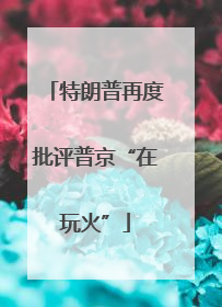 特朗普再度批评普京“在玩火”