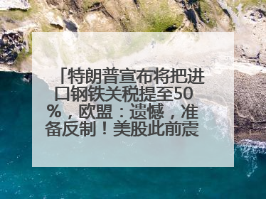 特朗普宣布将把进口钢铁关税提至50%，欧盟：遗憾，准备反制！美股此前震荡，机构：美元正进入熊市