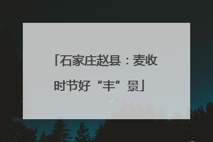石家庄赵县：麦收时节好“丰”景