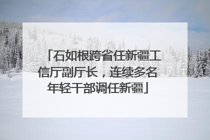 石如根跨省任新疆工信厅副厅长，连续多名年轻干部调任新疆
