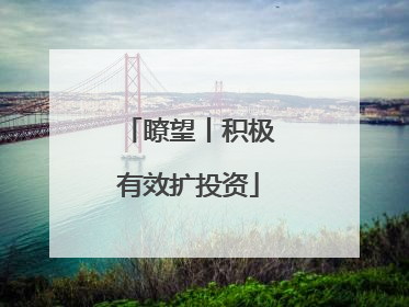 瞭望丨积极有效扩投资