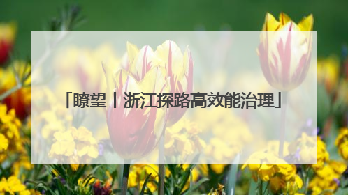 瞭望丨浙江探路高效能治理