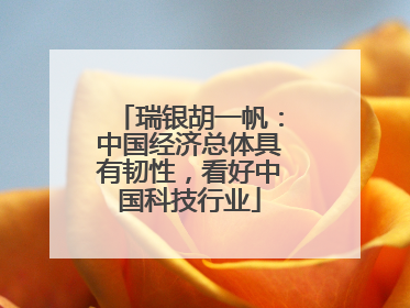 瑞银胡一帆：中国经济总体具有韧性，看好中国科技行业