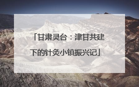 甘肃灵台：津甘共建下的针灸小镇振兴记